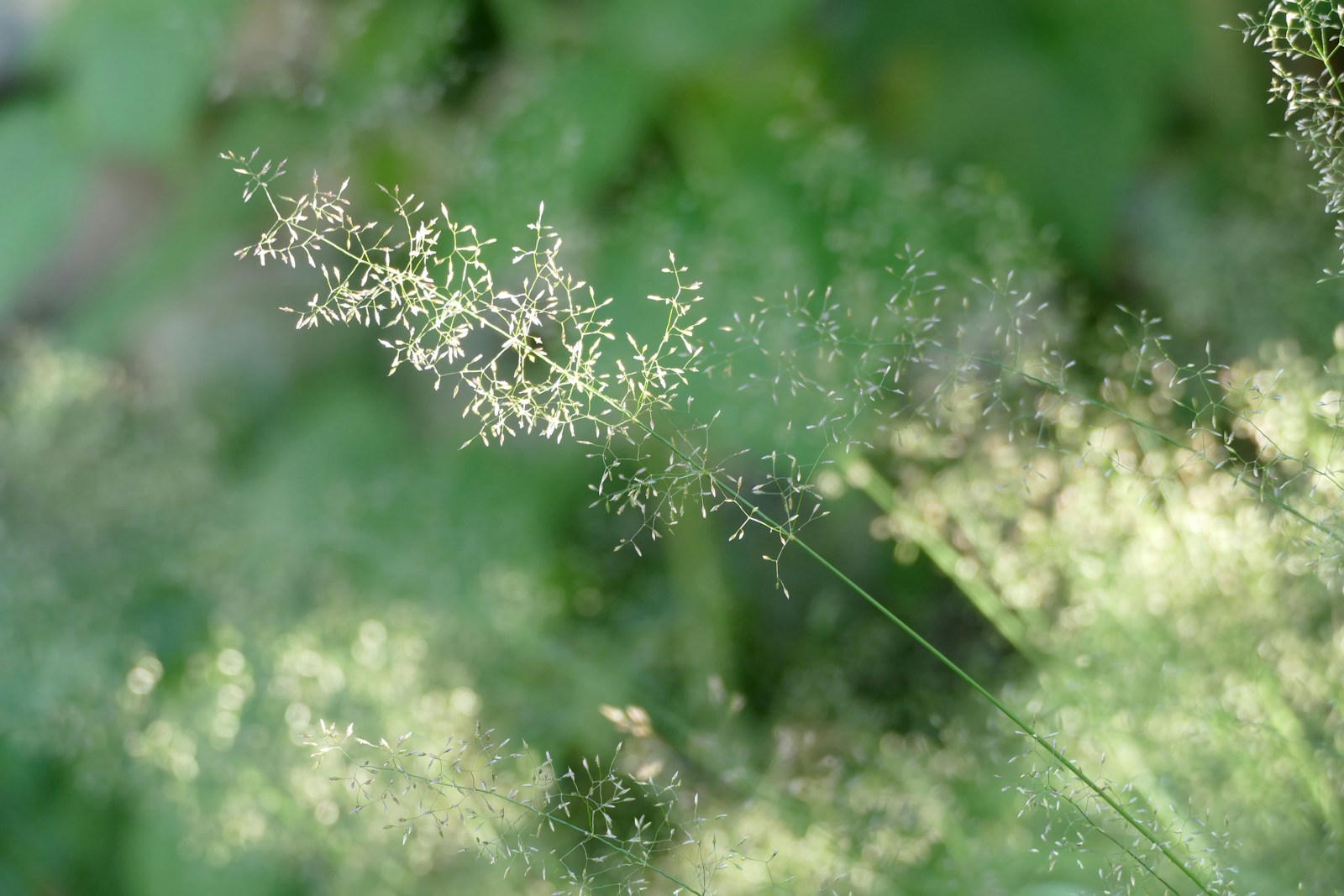 春の訪れとともに…花粉症の症状をどう乗り切る？